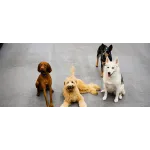 Dogtopia