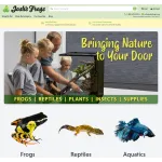 Josh's frogs